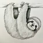 sloth drawing